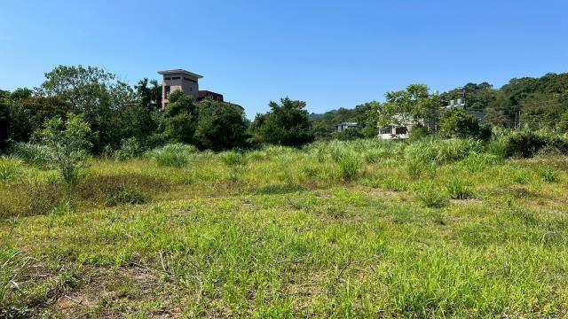 橫山農地-12