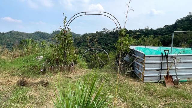 寶山農地-3