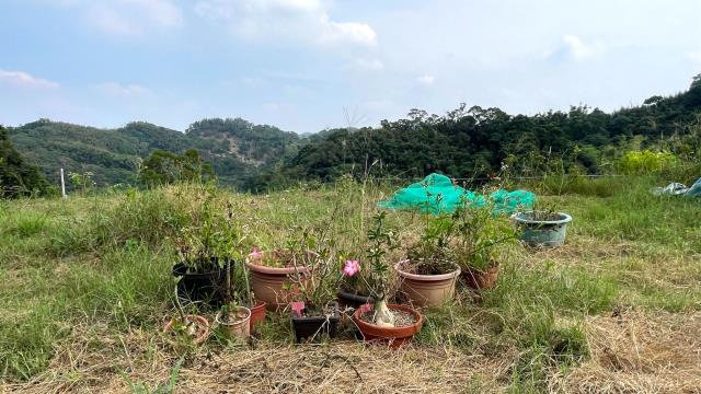 寶山農地-5