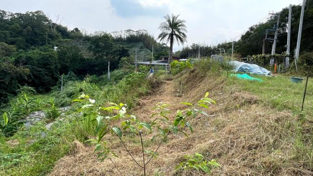 寶山農地-8