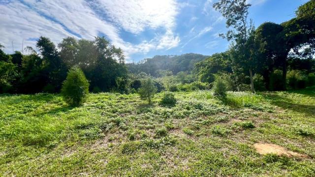 新竹竹東農地-11