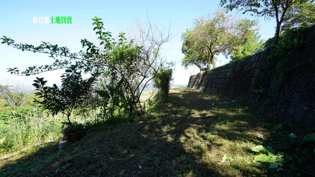 新竹農地-9