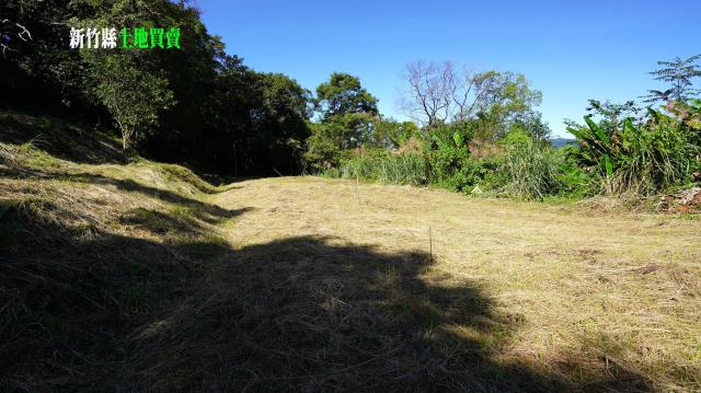 新竹農地-11
