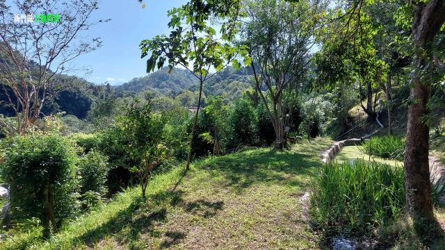 新竹關西農地-4