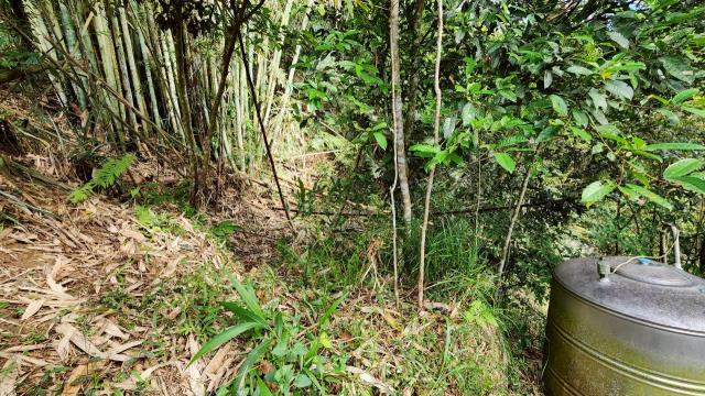 新竹北埔山坡地-5