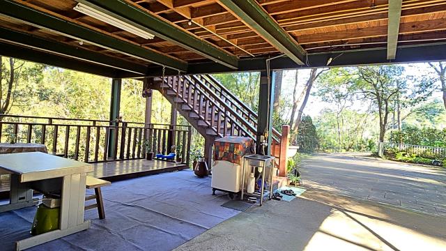 新竹橫山林地-2