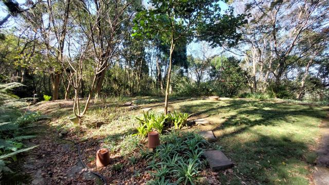 新竹橫山林地-1