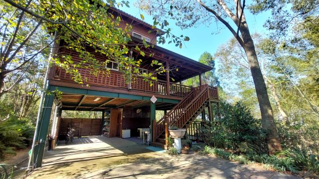 新竹橫山林地-3