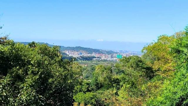 新竹橫山林地-5