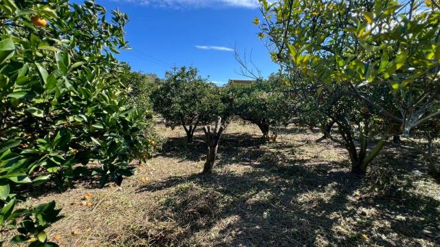 苗栗頭份農地-11