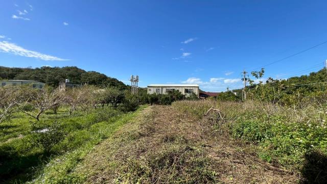 苗栗頭份農地-6