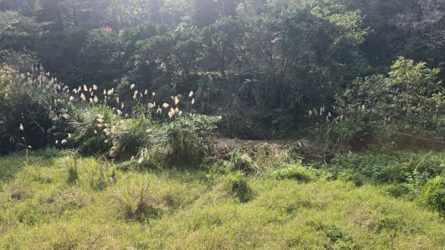 新竹北埔農地-1