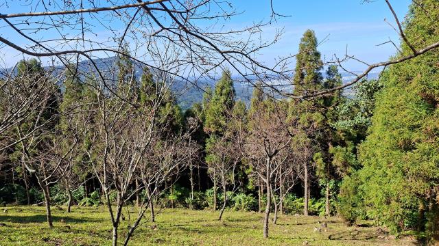 新竹橫山農地-4
