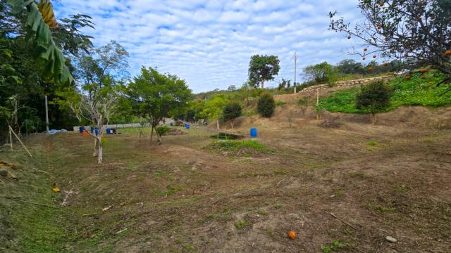 新竹北埔農地-0