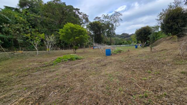 新竹北埔農地-1