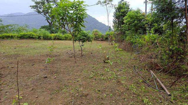 新竹橫山農地-5