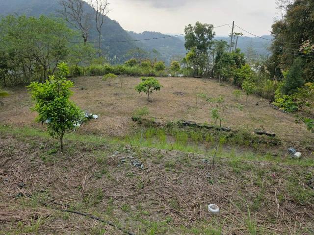 新竹橫山農地-8