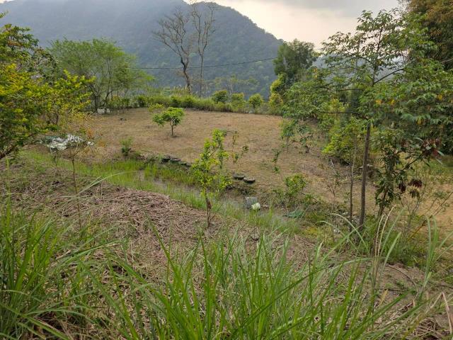 新竹橫山農地-9