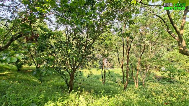 新竹峨眉農地-12