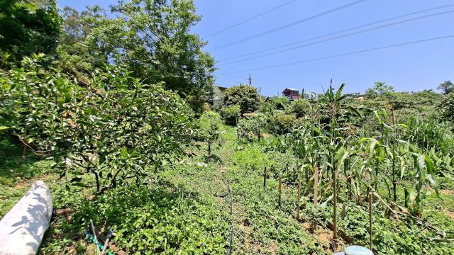 峨眉休閒地-2
